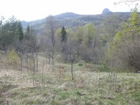 Prodaja, plac, 23600m², Kolašin, Crna Gora - image 6