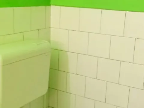 Prodaja, dvosoban stan, 50m², Palilula, Niš - image 11