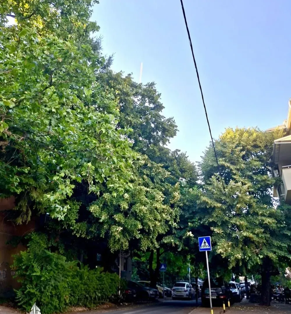 Izdavanje, dvosoban stan, 54m², Voždovac Sve Podlokacije, Beograd
