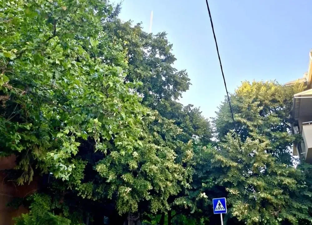 Izdavanje, dvosoban stan, 54m², Voždovac Sve Podlokacije, Beograd