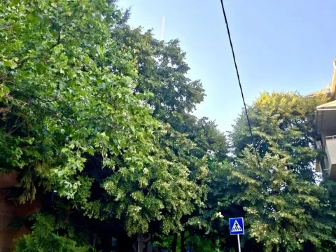 Izdavanje, dvosoban stan, 54m², Voždovac Sve Podlokacije, Beograd - image 1