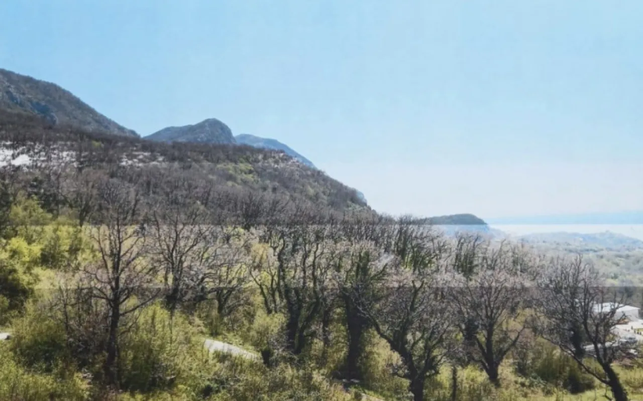 Prodaja, plac, 661m², Kuljače, Budva