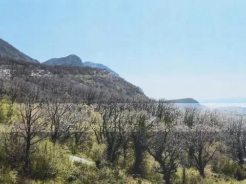 Sale, land lot, 661m², Kuljače, Budva - image 2