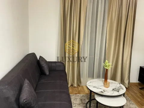 Izdavanje, jednosoban stan, 40m², City Kvart, Podgorica - image 7