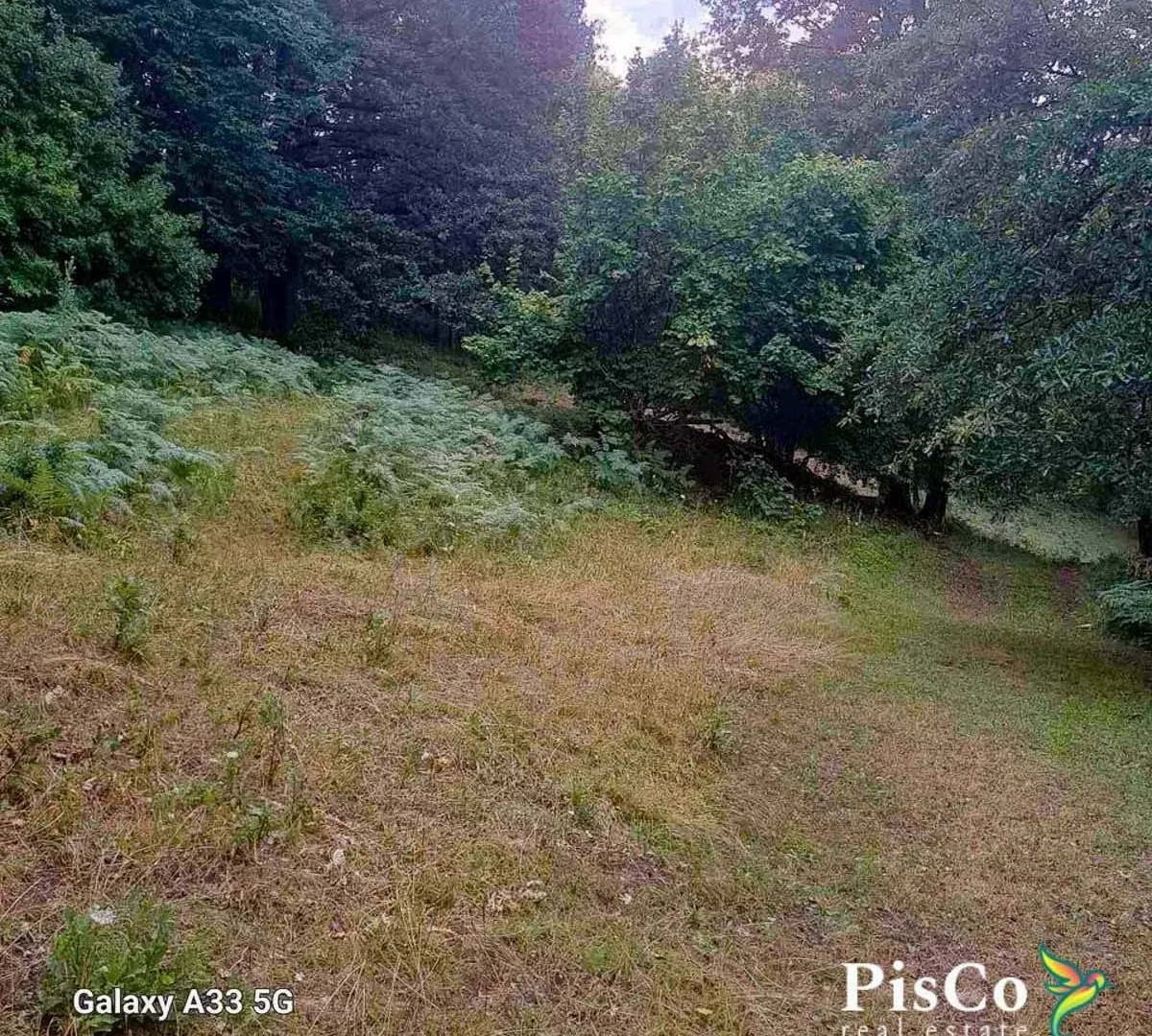 Prodaja, plac, 15000m², Pljevlja, Crna Gora