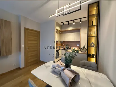 Izdavanje, jednosoban stan, 46m², Centar, Podgorica - image 7