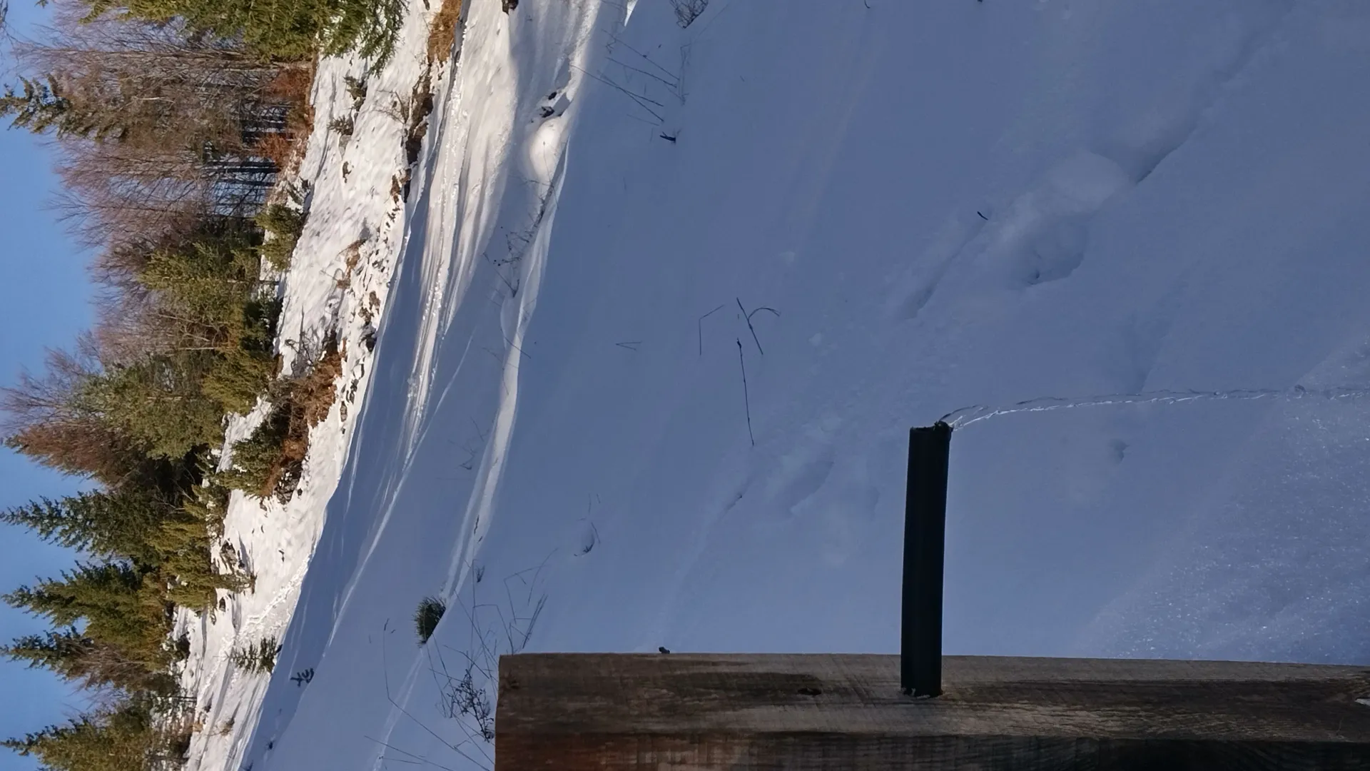 Prodaja, plac, 7000m², Mokra gora, Tara