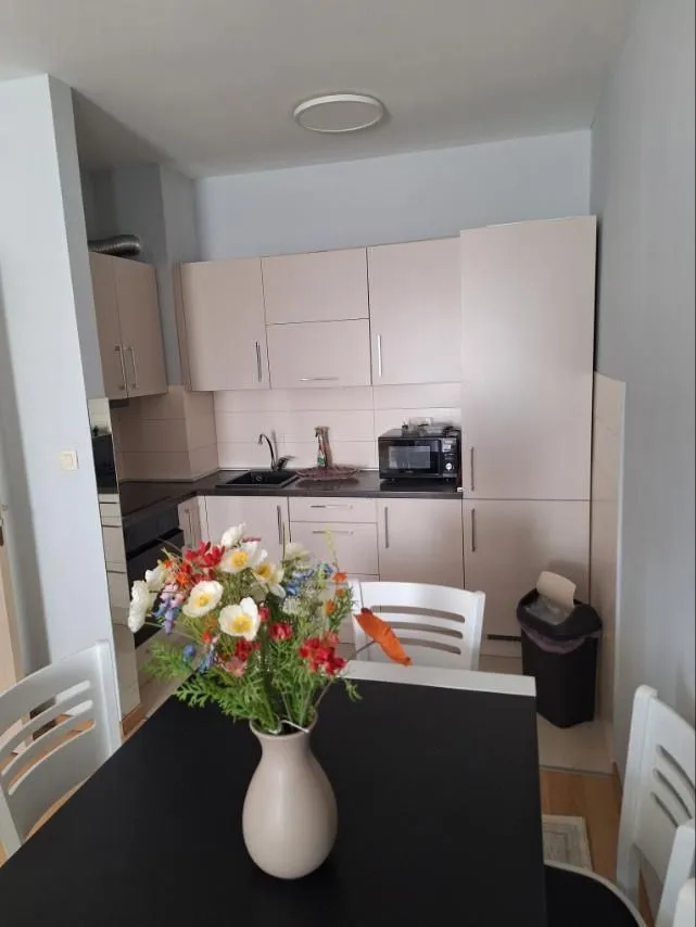 Rent, one bedroom apartment, 46m², City Kvart, Podgorica