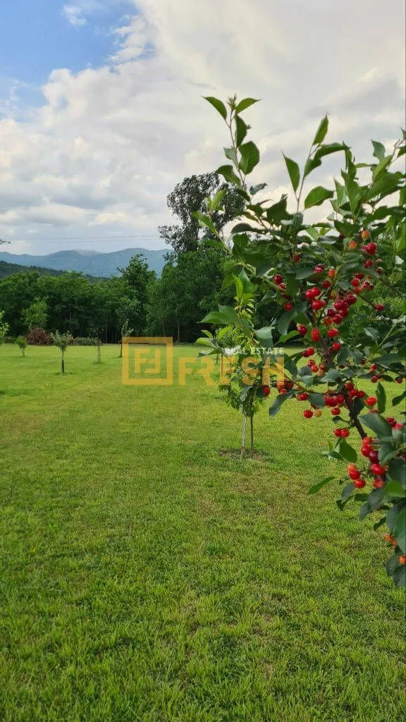 Prodaja, plac, 4430m², Danilovgrad, Crna Gora