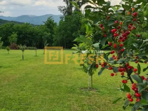 Prodaja, plac, 4430m², Danilovgrad, Crna Gora - image 7