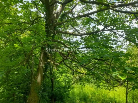 Prodaja, plac, 2100m², Inđija, Srbija - image 15