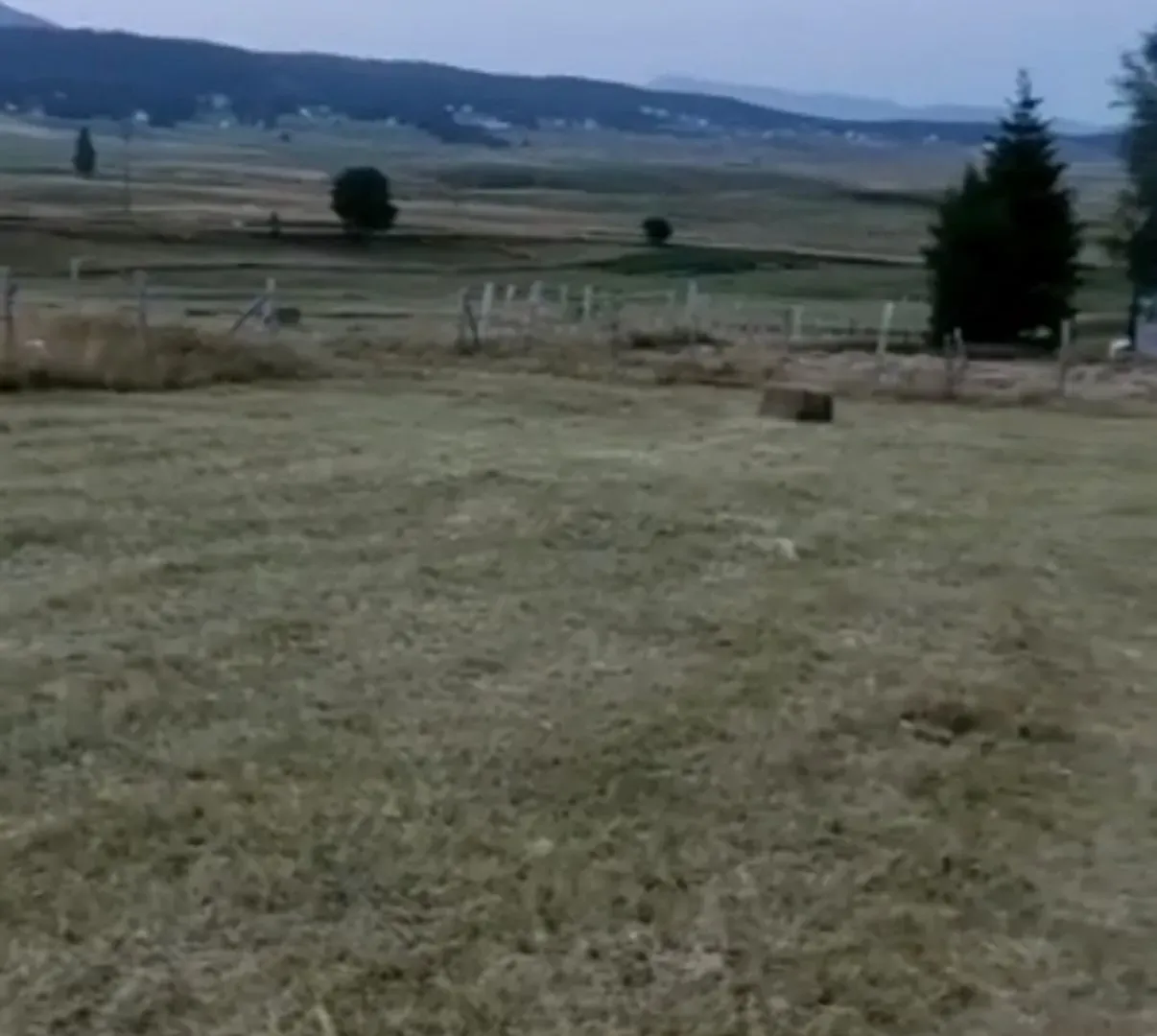 Prodaja, plac, 450m², Centar, Žabljak