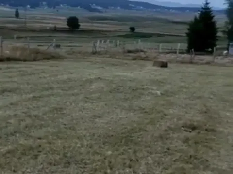 Prodaja, plac, 450m², Centar, Žabljak - image 2