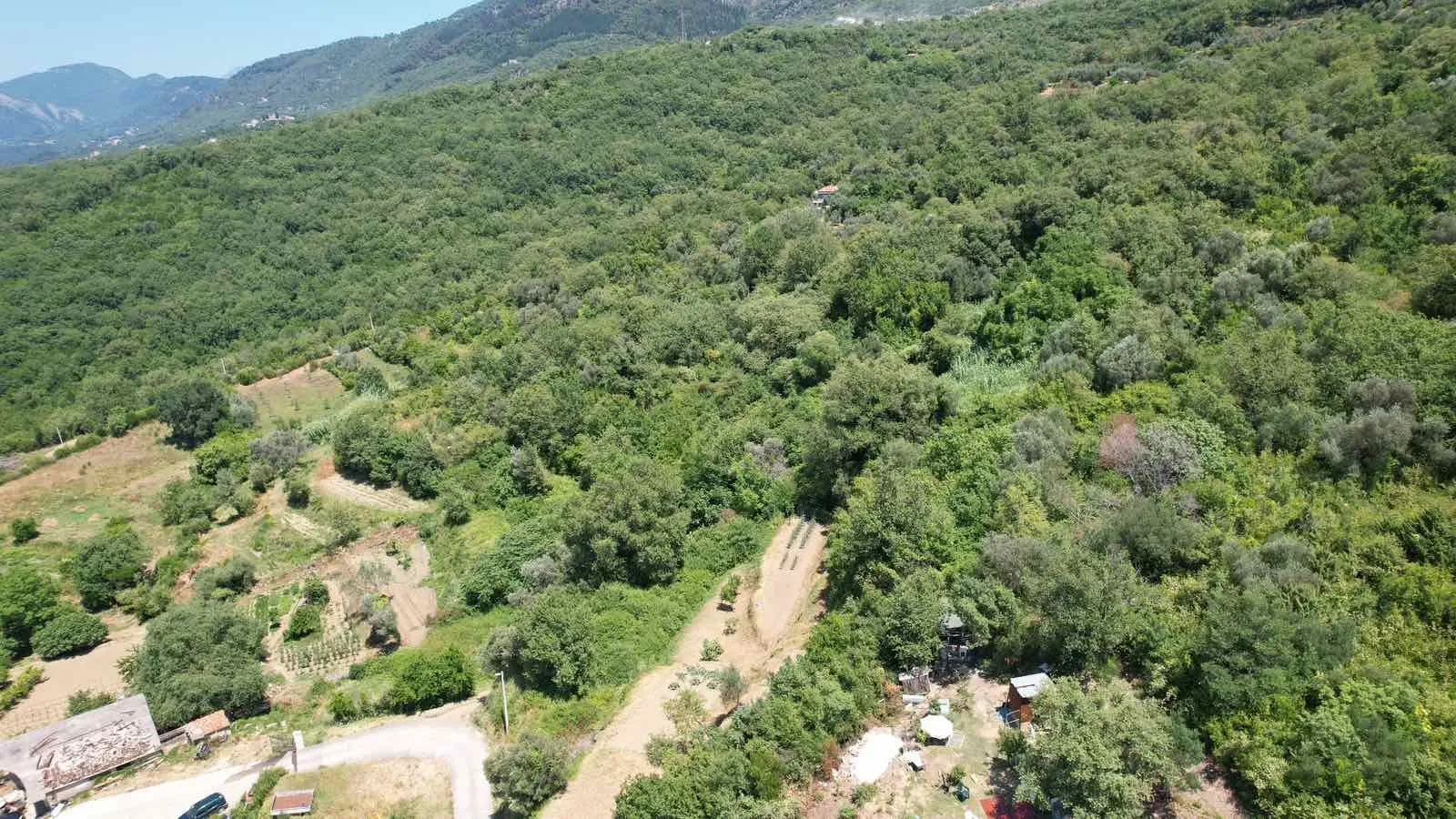 Prodaja, plac, 3000m², Radanovići, Kotor