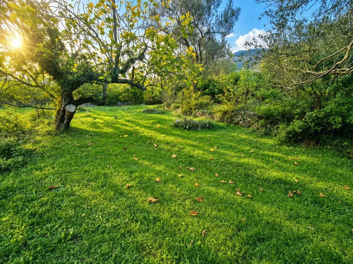 Zeleno dvorište sa drvećem i travnjakom.