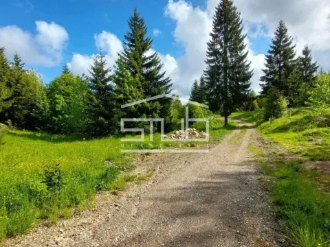 Sale, land lot, 3900m², Tara, Srbija - image 6