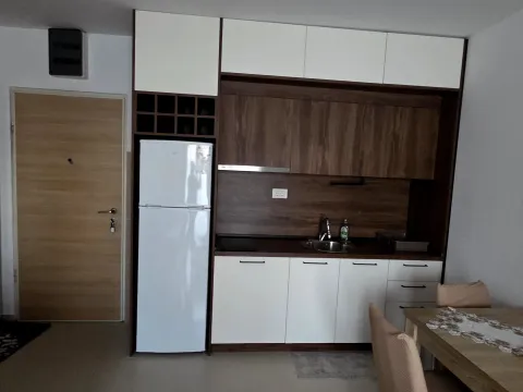 Izdavanje, jednosoban stan, 36m², Zabjelo, Podgorica - image 9