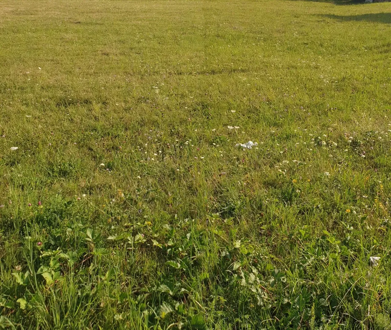 Sale, land lot, 35000m², Mojkovac, Crna Gora