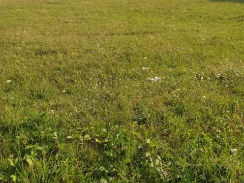 Prodaja, plac, 35000m², Mojkovac, Crna Gora - image 3