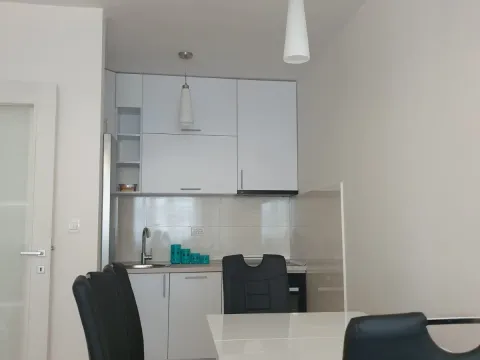 Rent, one bedroom apartment, 49m², Central Point, Podgorica - image 7