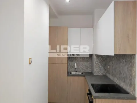 Izdavanje, dvosoban stan, 36m², Zeleni Venac, Beograd - image 3