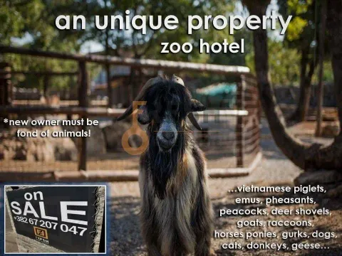 Prodaja, poslovni prostor, Ostalo, Podgorica - image 3