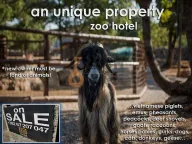 Prodaja, poslovni prostor, Ostalo, Podgorica - image 3