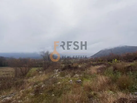 Prodaja, plac, 2500m², Danilovgrad, Crna Gora - image 5