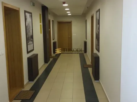 Izdavanje, dvosoban stan, 40m², Stari Grad, Beograd - image 7