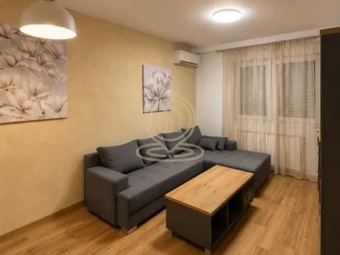 Izdavanje, dvosoban stan, 38m², Čubura, Beograd - image 2