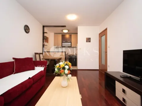 Izdavanje, jednosoban stan, 40m², Stari Aerodrom, Podgorica - image 1