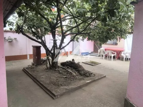 Courtyard with a large tree and outdoor seating. - image 10