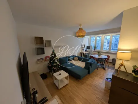 Stan in Profesorska Kolonija