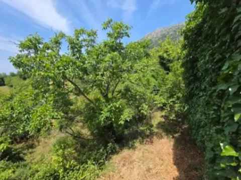 Sale, house, 102m², Pečurice, Bar - image 4