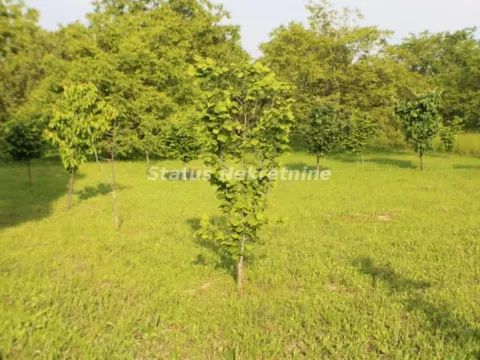 Prodaja, plac, 1200m², Banja Vrdnik, Irig - image 3