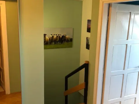 Sale, three bedroom apartment, 72m², Nova Detelinara, Novi Sad Sve Podlokacije - image 7