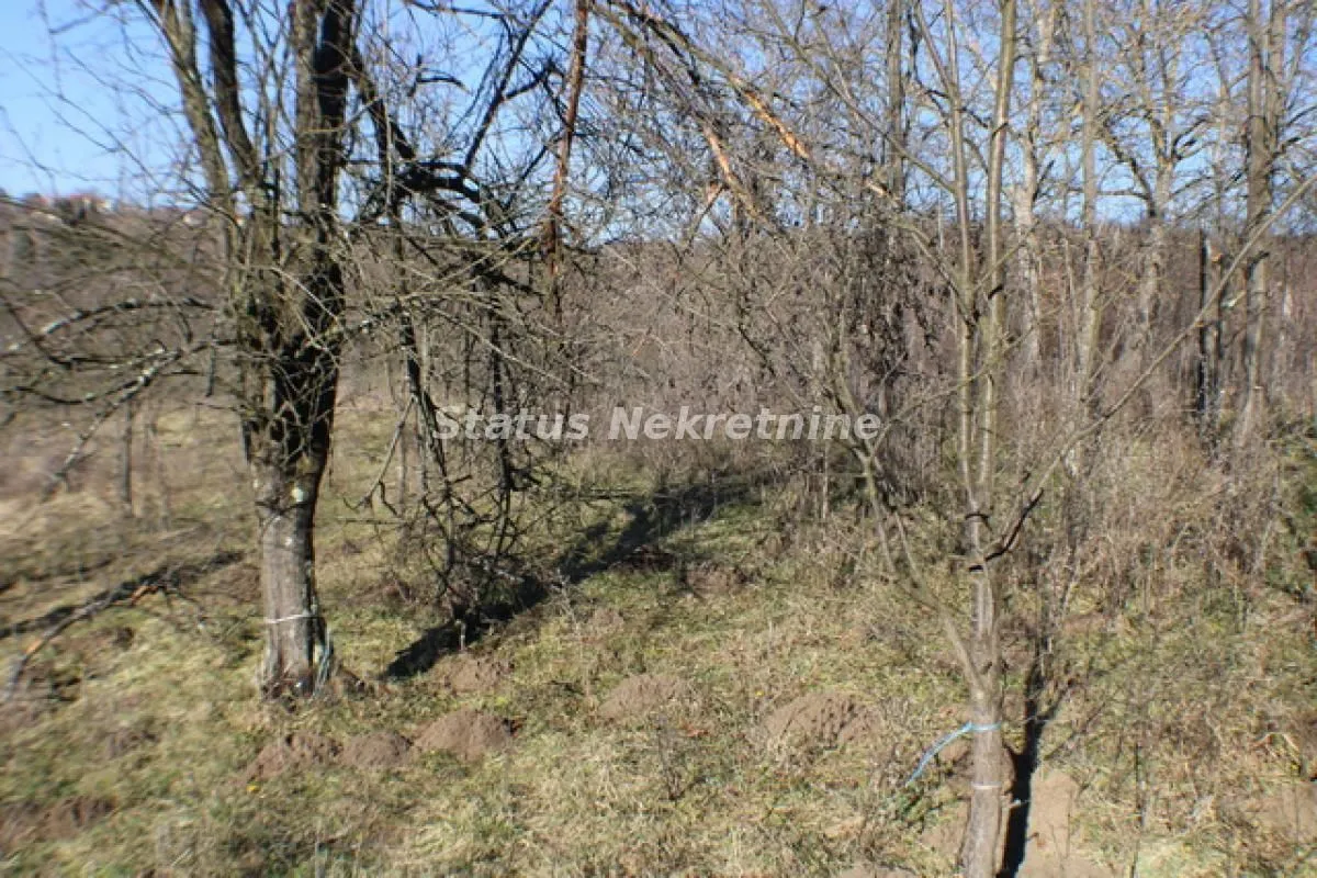 Prodaja, plac, 2493m², Banja Vrdnik, Irig