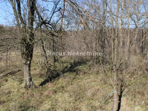 Prodaja, plac, 2400m², Irig, Srbija - image 8