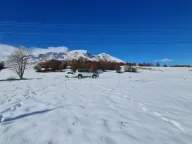 Prodaja, plac, 700m², Pašina Voda, Žabljak - image 1