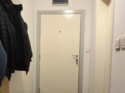 Prodaja, dvosoban stan, 50m², Nova Detelinara, Novi Sad Sve Podlokacije - image 13