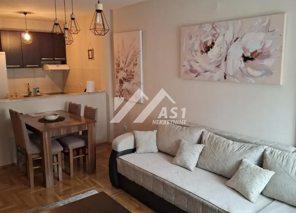 Izdavanje, dvosoban stan, 50m², Kej, Novi Sad Sve Podlokacije