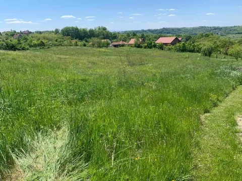 Prodaja, plac, 5000m², Vrbovno, Lazarevac - image 3