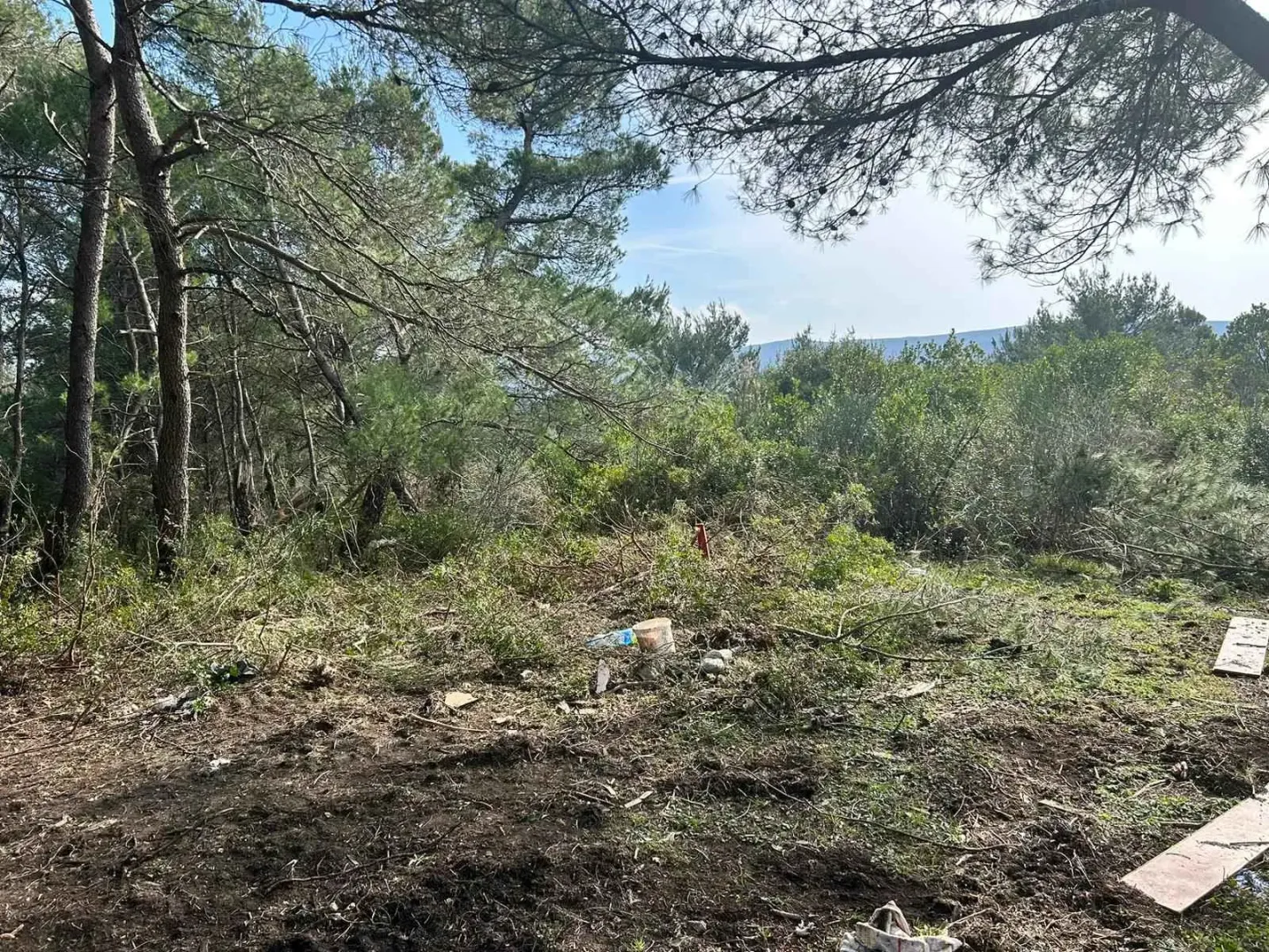 Pogled na šumoviti plac i zelenilo u okolini nekretnine.