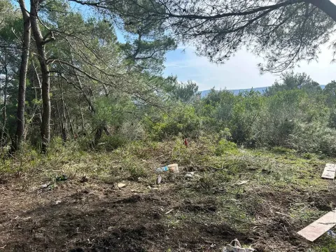 Pogled na šumoviti plac i zelenilo u okolini nekretnine. - image 6