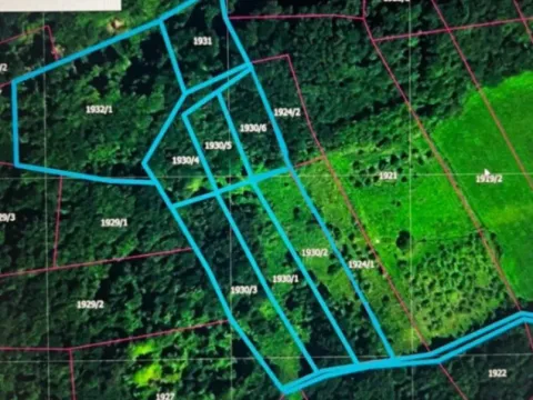 Sale, land lot, 33600m², Jezdina, Čačak - image 2