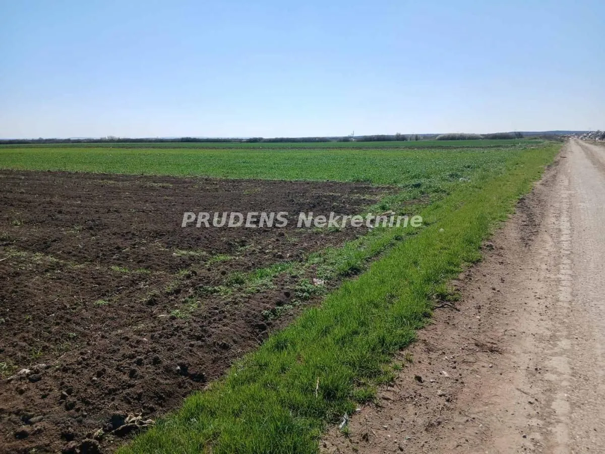 Sale, land lot, 201m², Petrovčić, Surčin