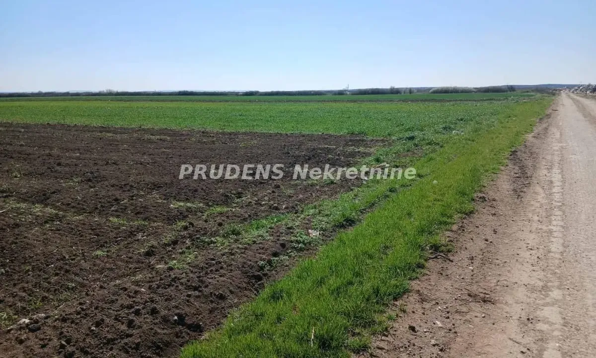 Prodaja, plac, 201m², Petrovčić, Surčin