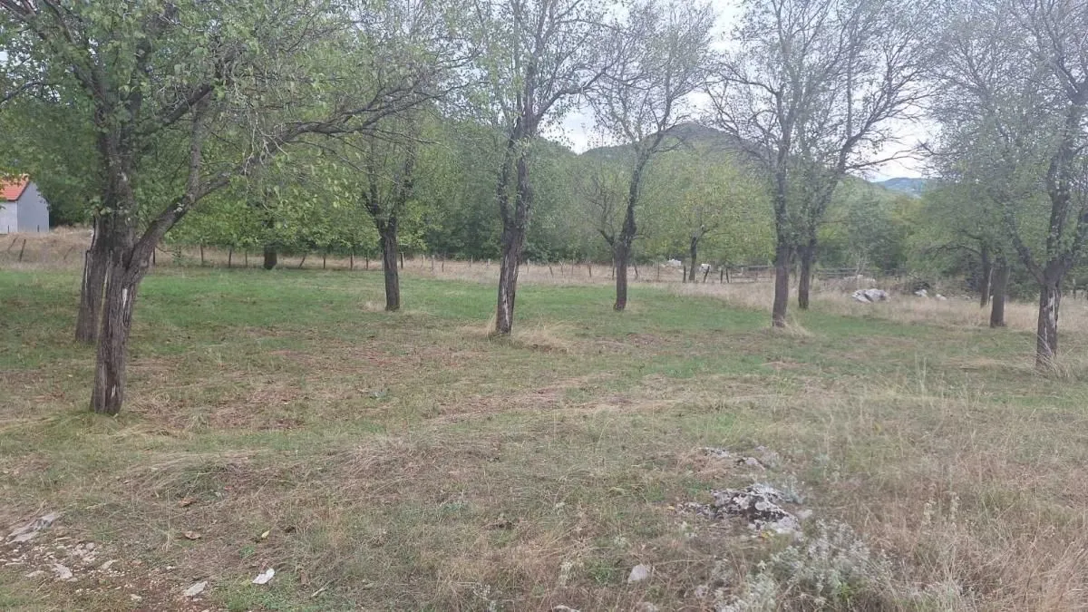 Sale, land lot, 3000m², Grahovo, Nikšić