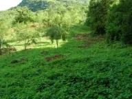 Sale, land lot, 45500m², Plužine, Crna Gora - image 1