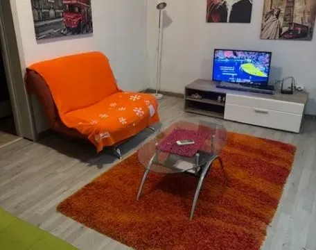 Rent, one bedroom apartment, 45m², Golubovina, Budva - image 8